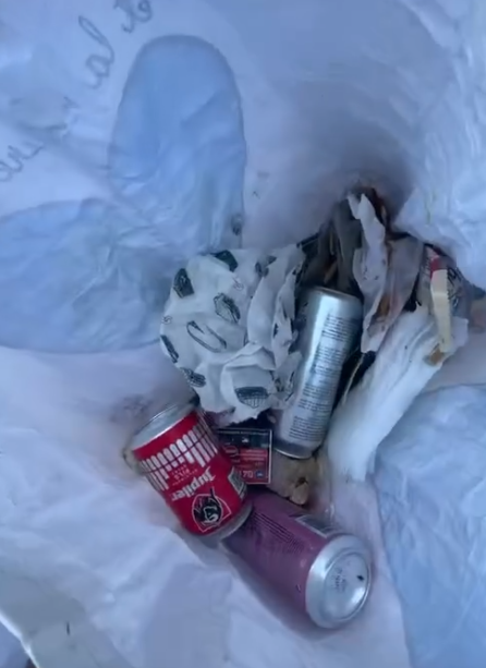 Belgium Chapter's Beach Cleanup 1