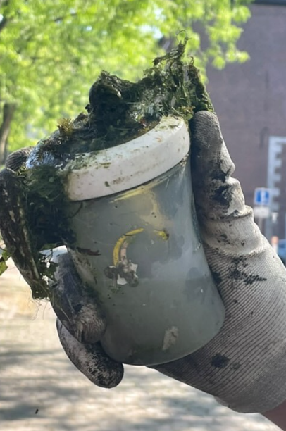 Belgium Chapter's Beach Cleanup 3