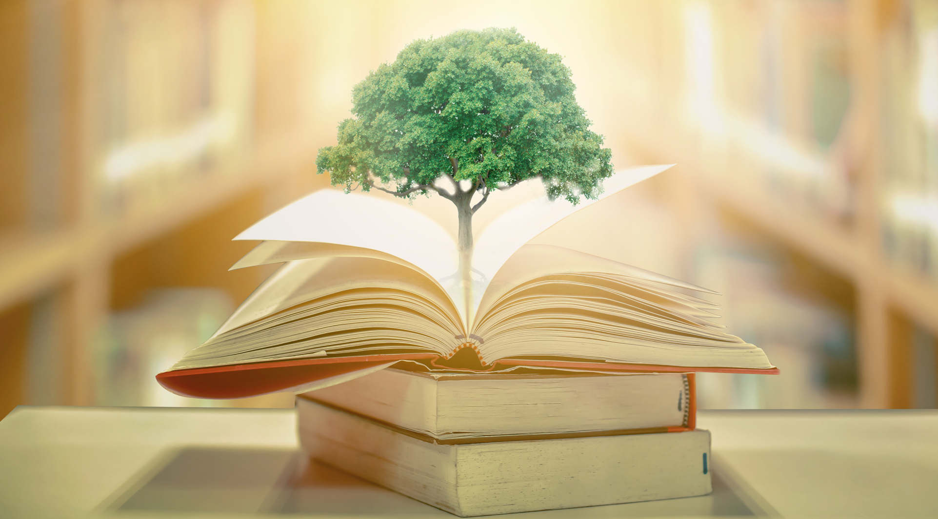 Sustainable Education